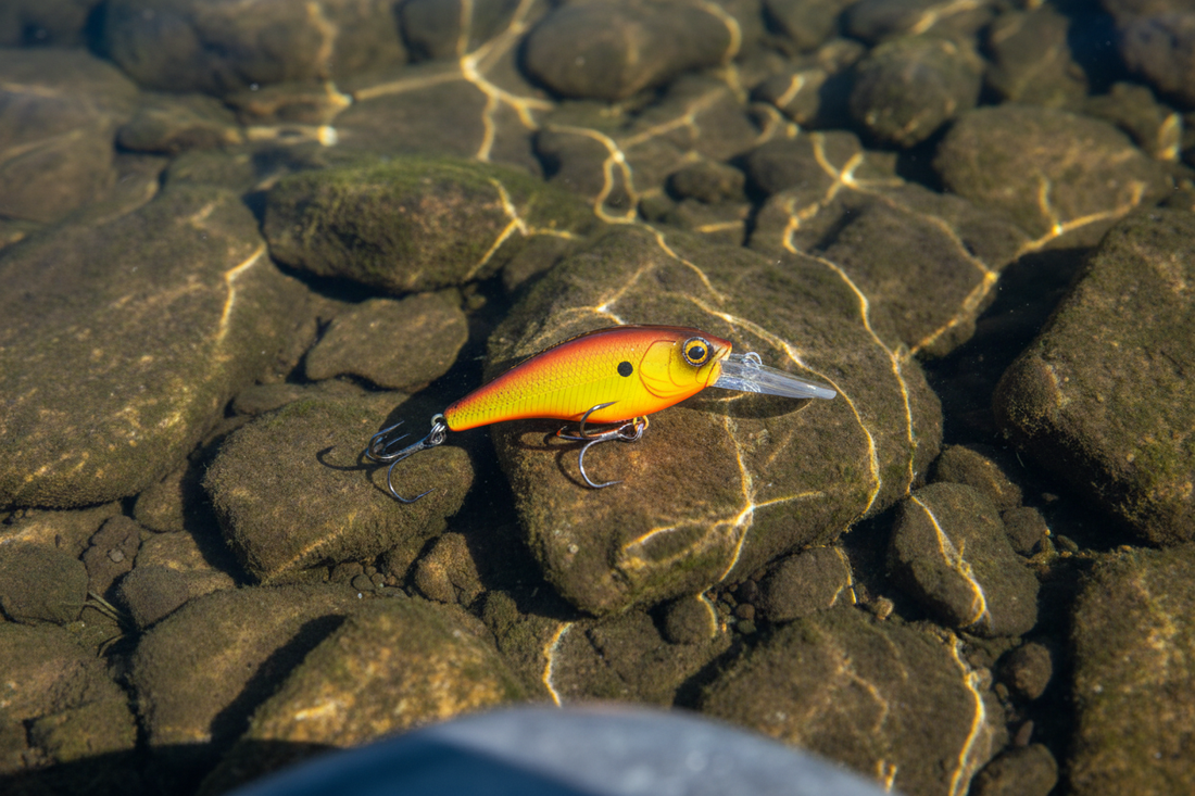 Deep-diving crankbait with long lip beside fishing line and rod
