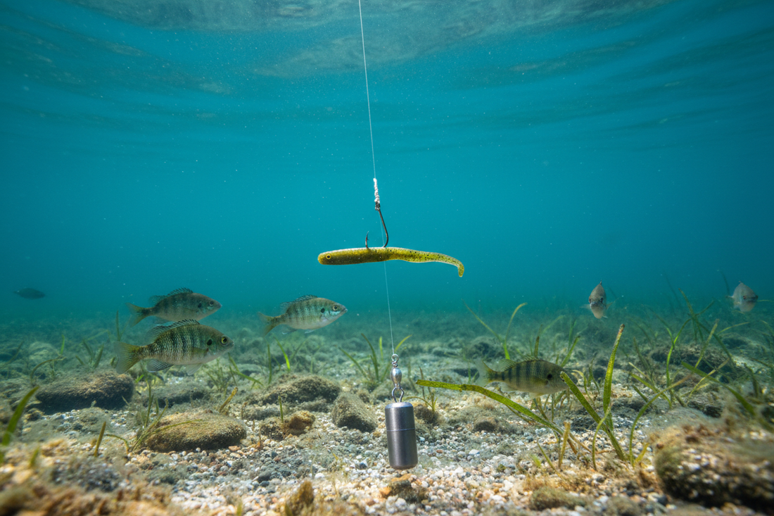 Drop Shot Rig: How to Set It Up and Fish It Effectively